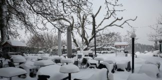 Ηράκλειο: Κλειστά τα σχολεία του Δήμου Μινώα Πεδιάδας – Επικρατεί έντονο ψύχος και παγετός