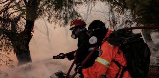 209 πυρκαγιές σε 3 ημέρες - Σε Πάρνηθα, Έβρο τα μεγάλα μέτωπα - Φωτιές και σε Ροδόπη - Βοιωτία - Φθιώτιδα - Αιτωλοακαρνανία