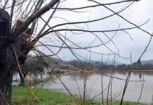 ΥπΑΑΤ: Ενθαρρυντικά στοιχεία από τις έρευνες δύο φορέων στις πλημμυροπαθείς περιοχές